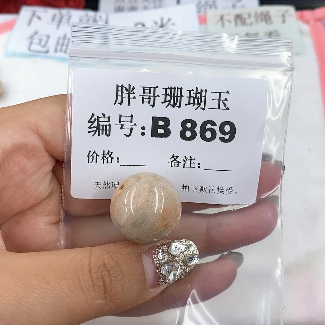 硅化珊瑚（珊瑚玉）B869未镶嵌养***羊