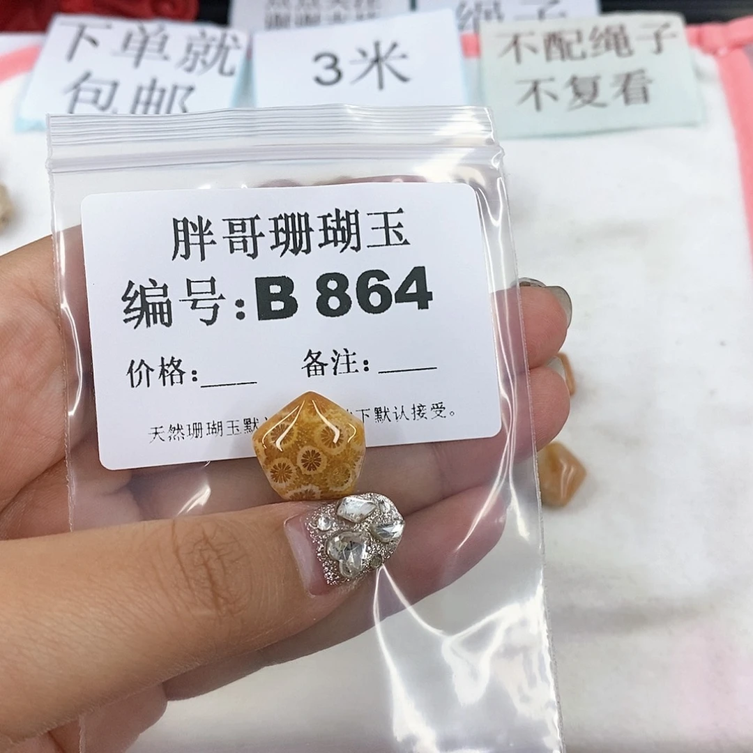 硅化珊瑚（珊瑚玉）B864未镶嵌白****~