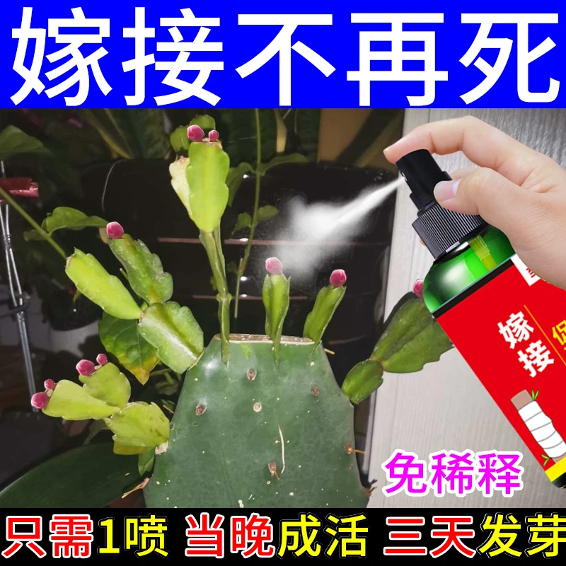 【嫁接必活】嫁接神器蟹爪兰植物盆景花卉专用伤口防护愈合剂促活液