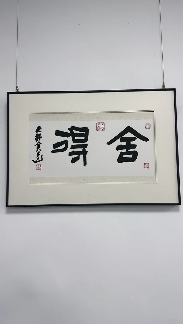 【闪购商品】书法舍得