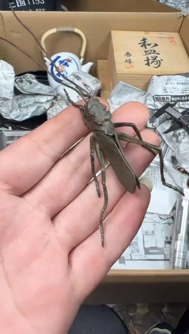 【闪购商品】其他工艺赏玩器物（多样性发一）卡单拉黑
