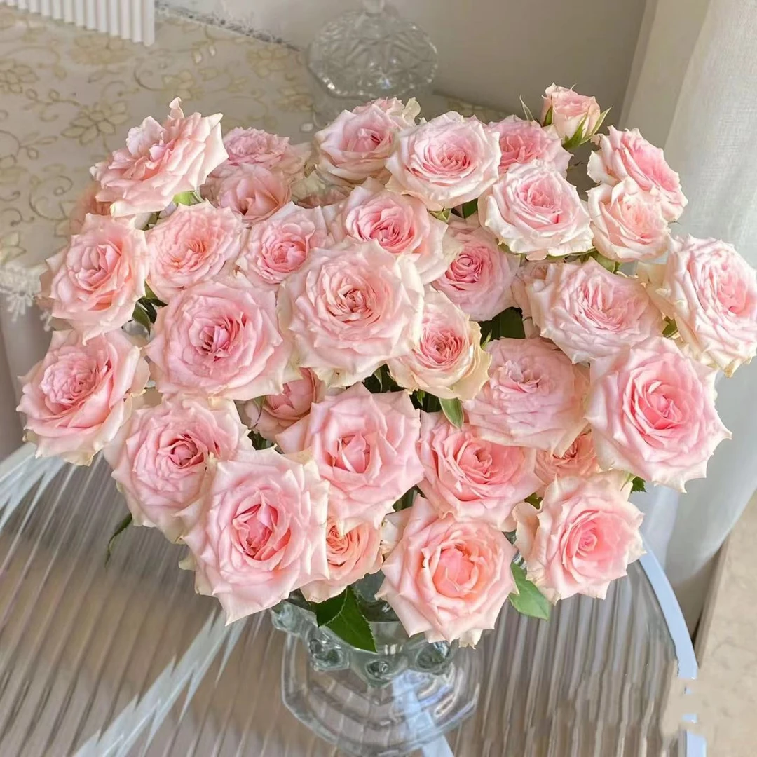 星悦宝贝 玫瑰鲜花 全场买两单及以上包邮 云南基地直发