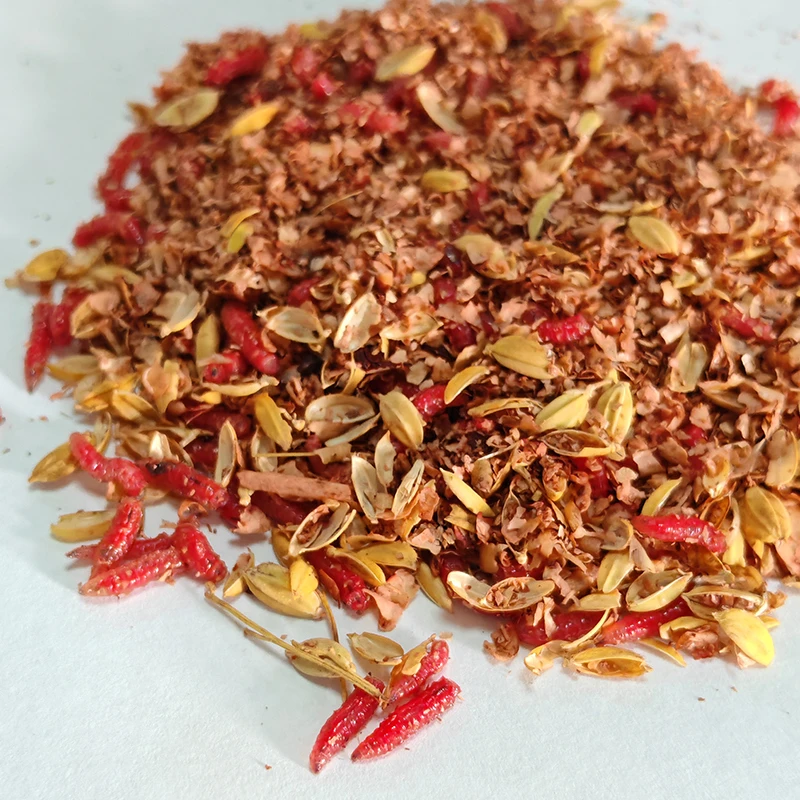 鲜活红蛆虫活饵红蛆虫鱼饵野钓神饵户外野钓饵料溪流河流爆护饵