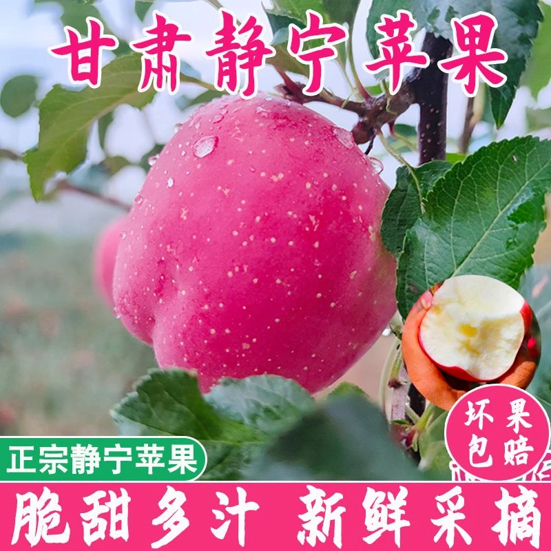 正宗甘肃静宁红富士精选带箱5斤大果 9-12个装静宁苹果脆甜多汁