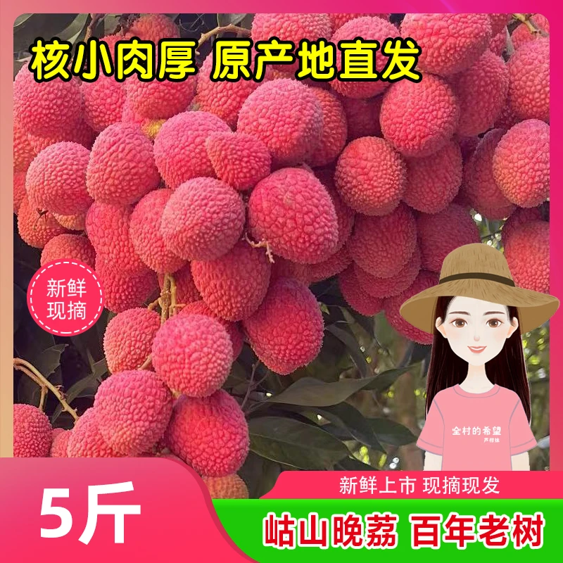 【省内专拍】芦柑妹正宗岵山荔枝百年老树皮薄核小肉厚多汁现摘现发