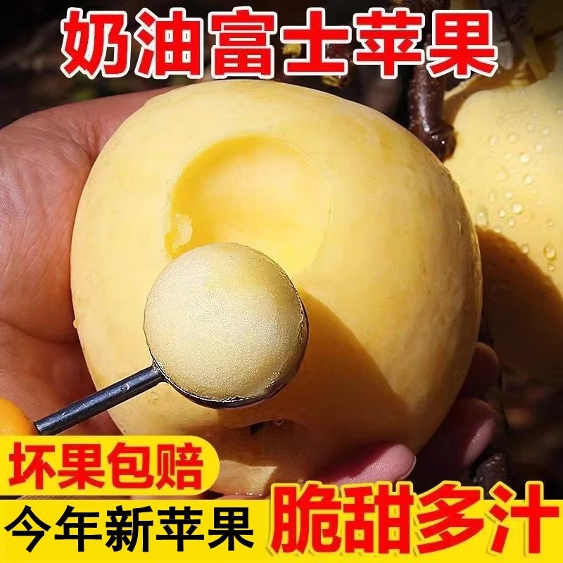 精选当季黄金奶油富士苹果新鲜水果脆甜多汁2/5/9斤整箱产地直发