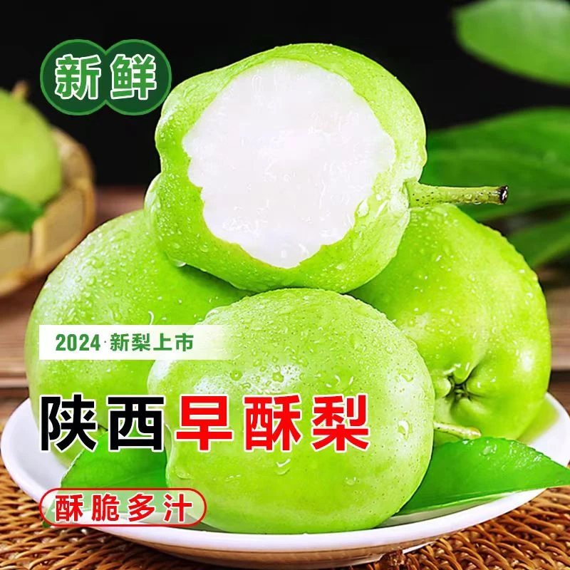 陕西早酥梨青皮梨子现货当季新鲜水果时令生鲜一整箱装产地直发