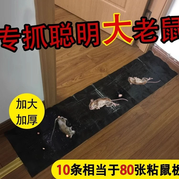 视频同款加大1.2米长强力沾毯粘性强封门堵路一触即粘大小通吃
