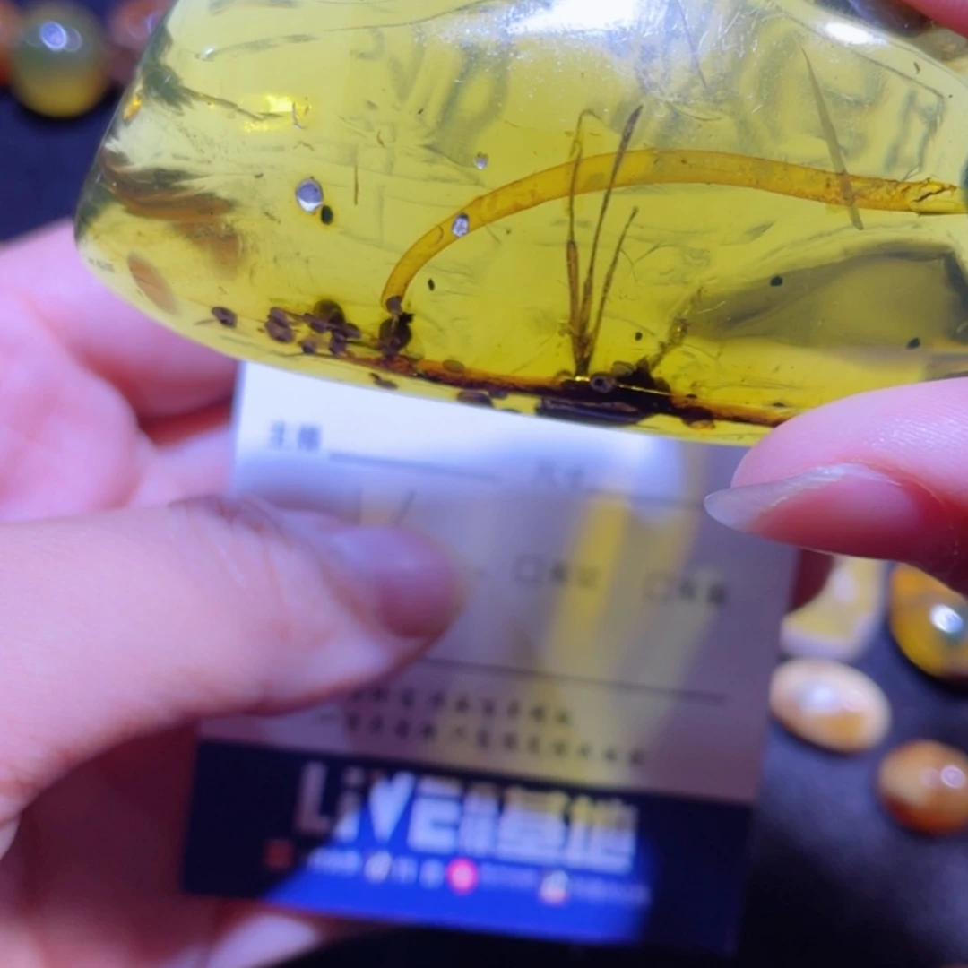 【闪购商品】琥珀颈饰未镶嵌M****7虫珀