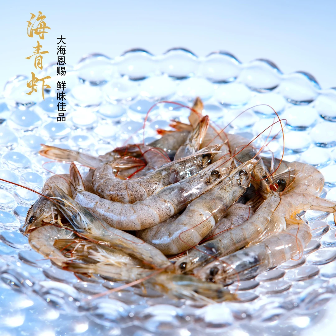 【梓甄精选】渤海湾特产青虾鲜虾肉质新鲜紧实鲜活速冻（冻鲜）