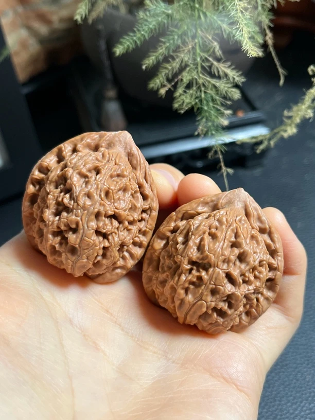 文玩核桃水龙纹狮子头已打底边40MM以下随机发手玩把件