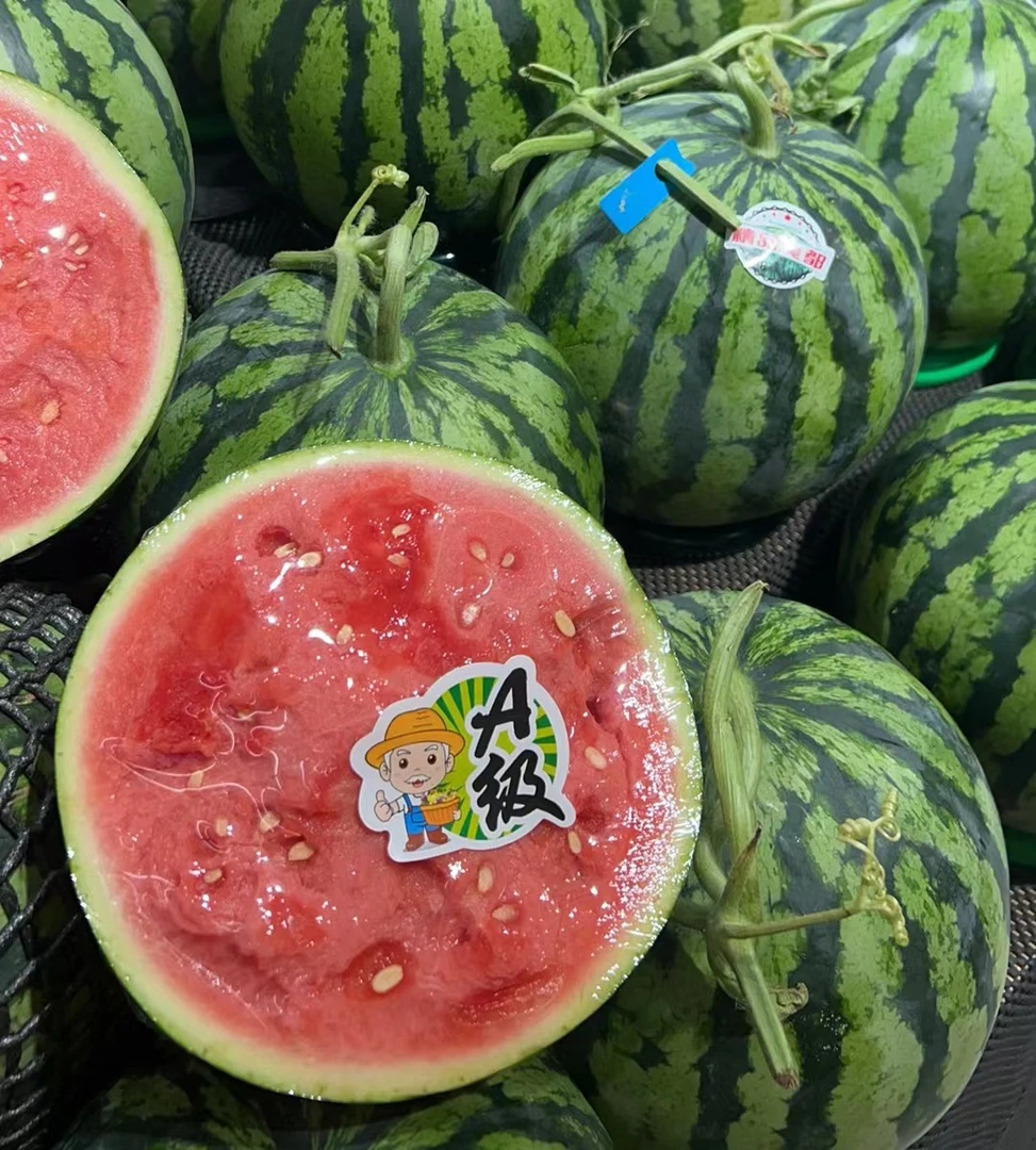精品美都西瓜整个10斤左右