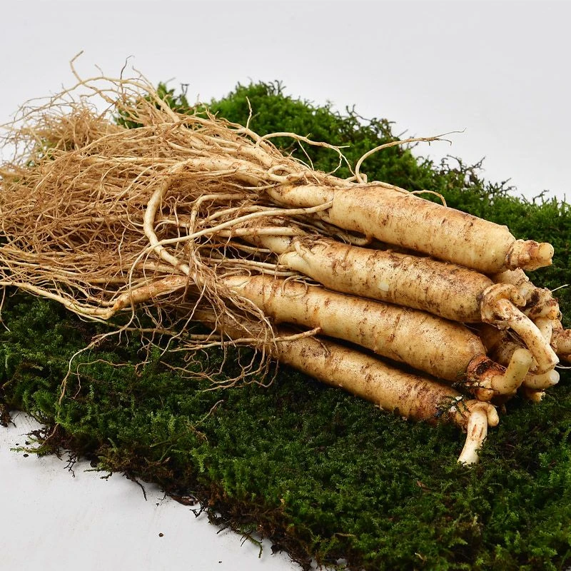 长白山新鲜人参残枝人参自用经济实惠款