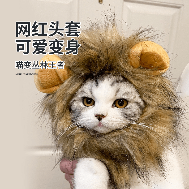 网红猫咪狮子头套兔子可爱小帽子兔耳朵搞怪青蛙圣诞装扮宠物服饰