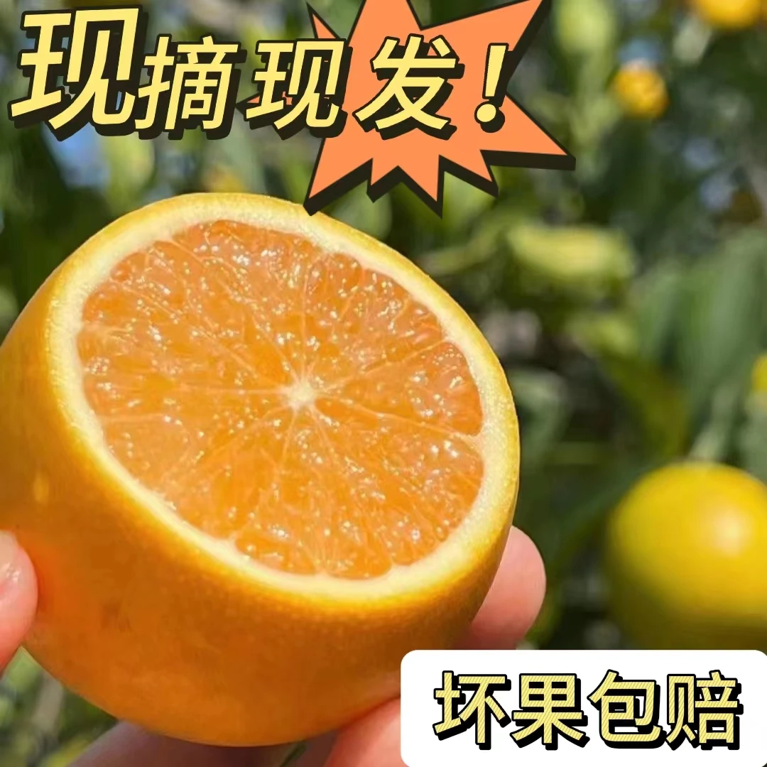 广东廉江红橙红江橙自然熟产地直发一级中果