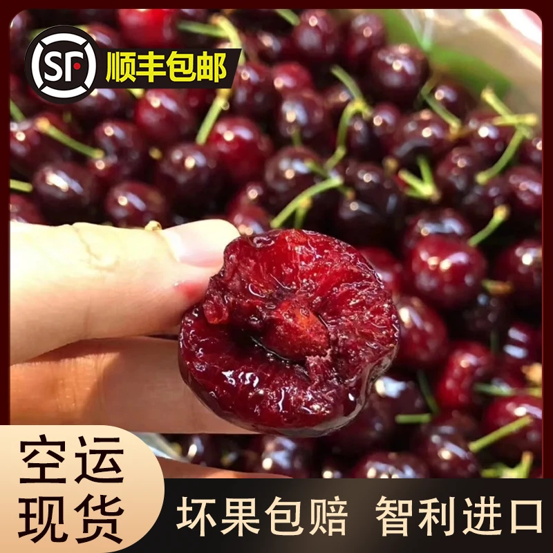 【坏果包赔】空运智利车厘子桑提娜 2~5斤装 1-5J顺丰空运包邮