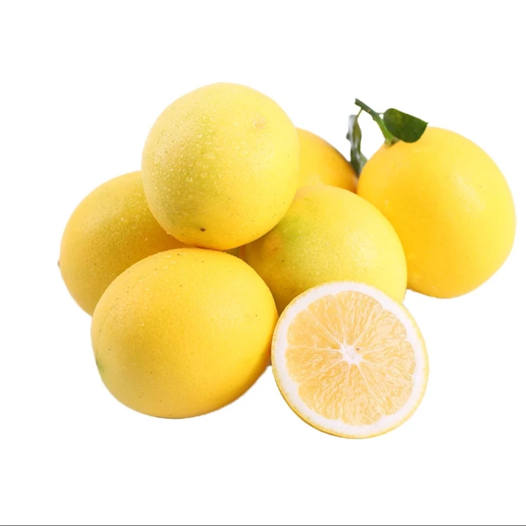新品种橙子柠檬 酸脆多汁 大果2斤装 5-7颗 单果/150g左右【包邮】