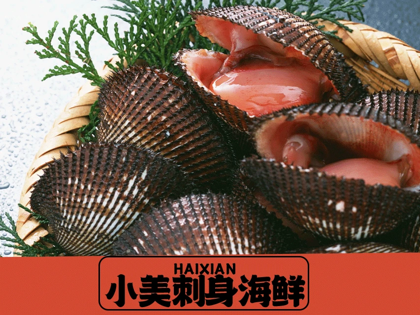 鲜活大赤贝（2-3只）约500g