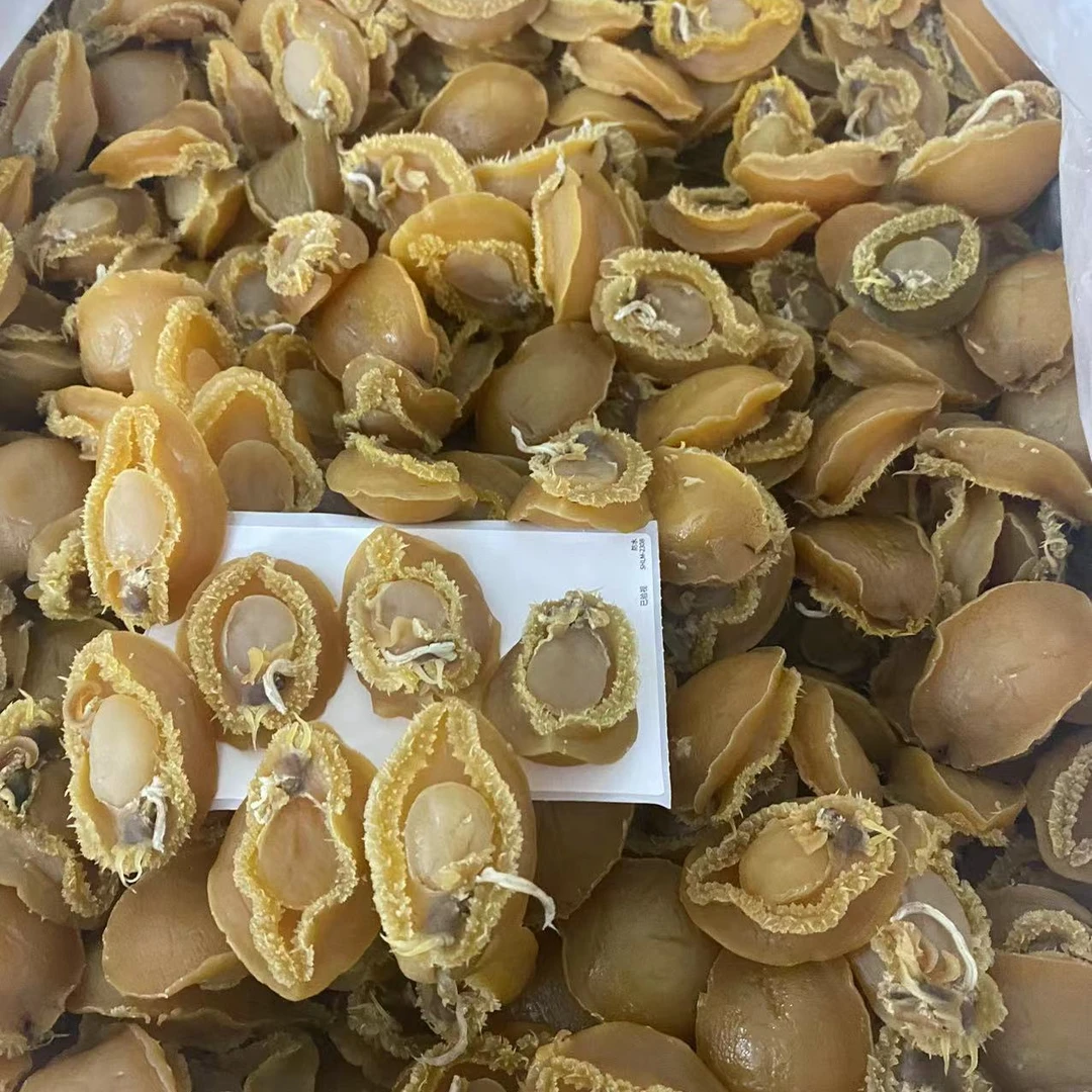 25头大连鲍鱼250g-500g