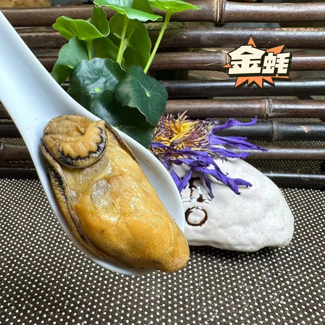 金蚝20头阳江程村本地生蚝金蚝