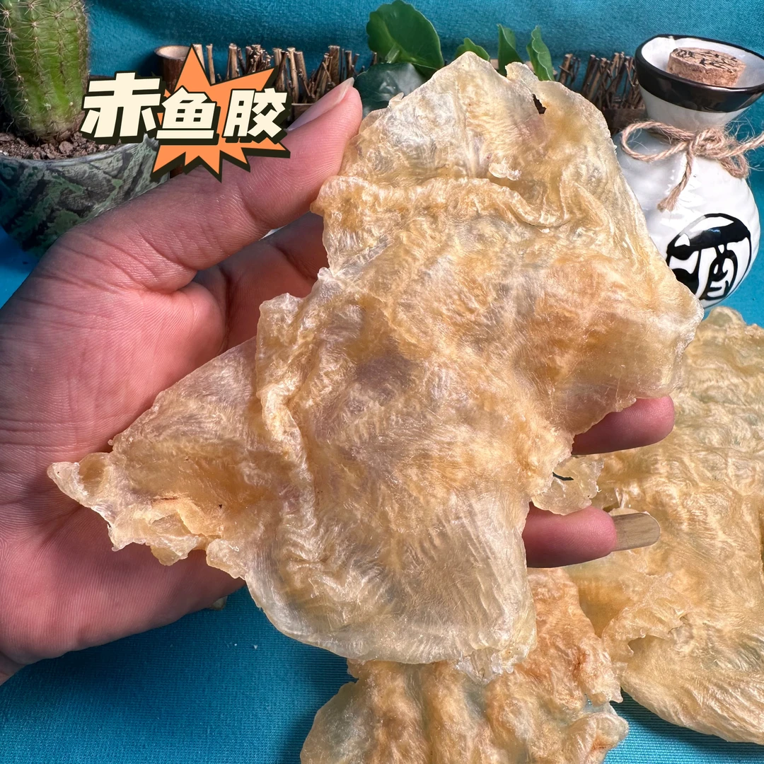 【前记精选】广东 鱼胶开片赤鱼胶14-18头 250克/500克