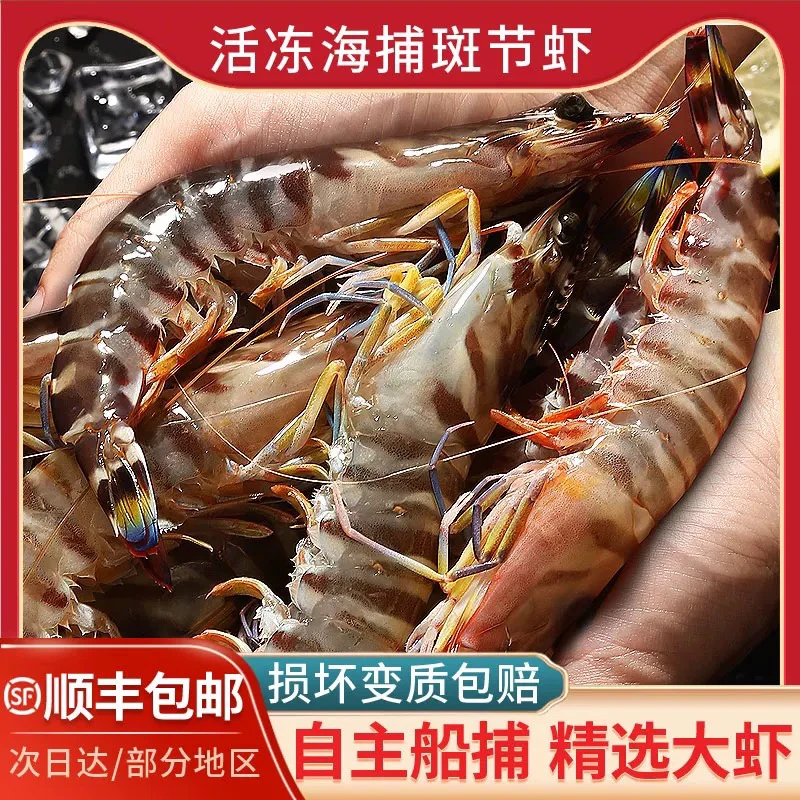 15-20头本港野生 花虾/九节虾