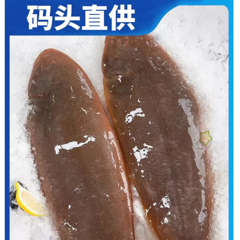 【甜甜专属】船冻海捕龙利鱼好吃的鱼