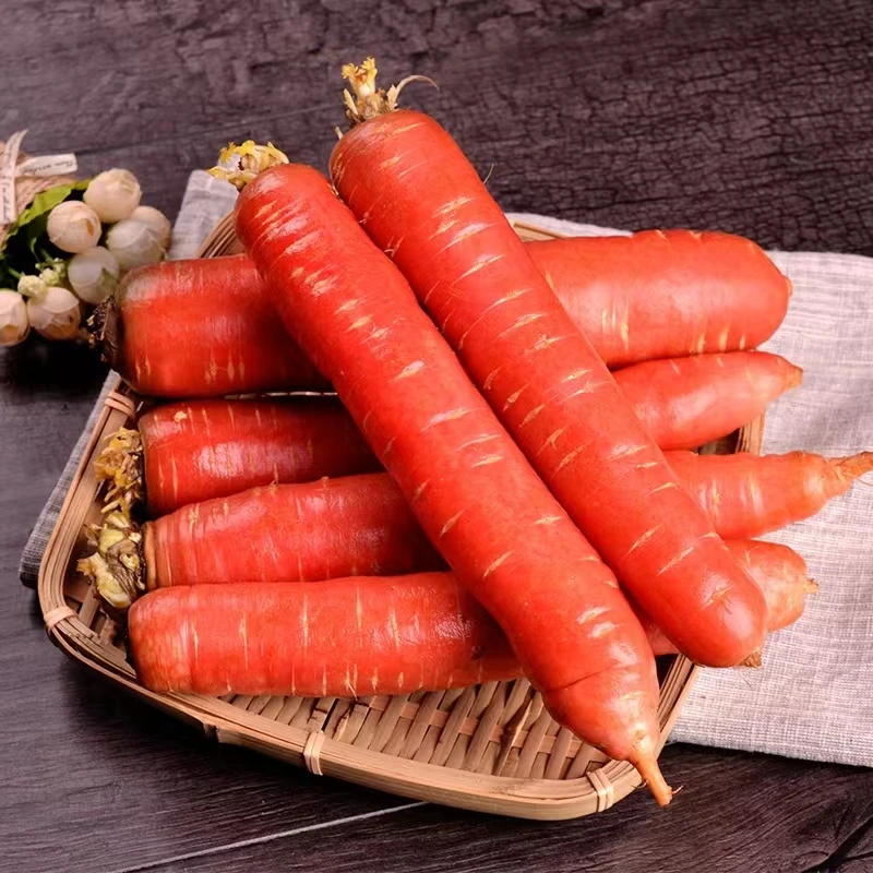 陕西红萝卜5斤装新鲜时令蔬菜农家自种脆甜沙地胡萝卜