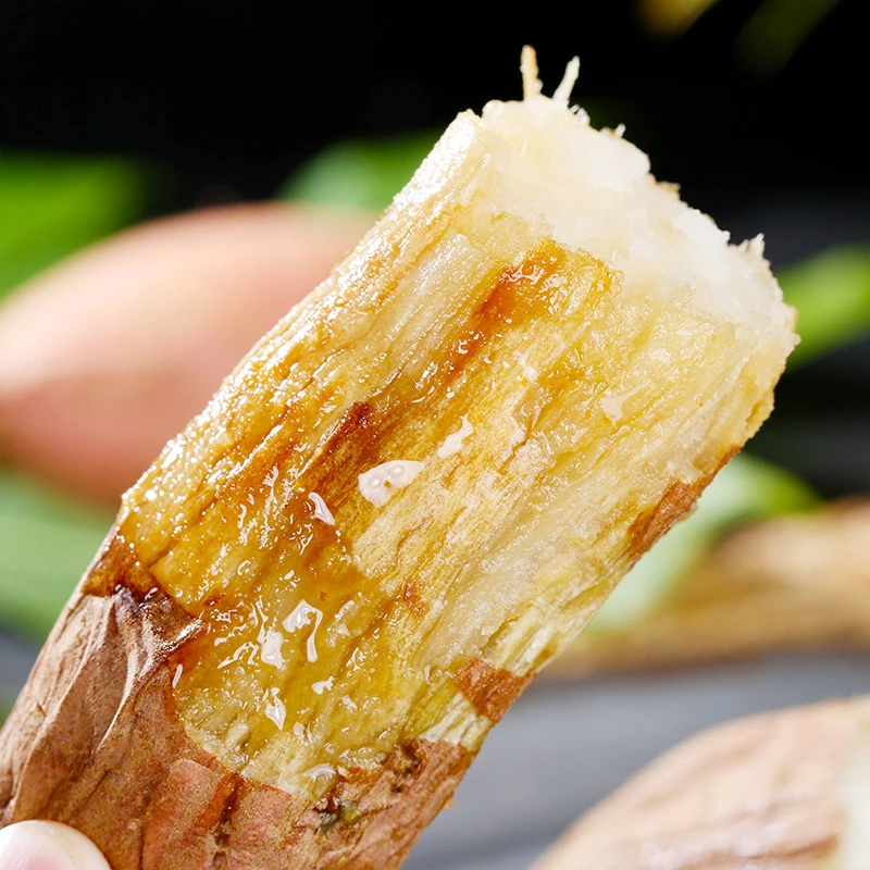 山东哈密冰糖薯4.5斤装冰糖心白薯蜜薯新鲜红薯香甜软糯