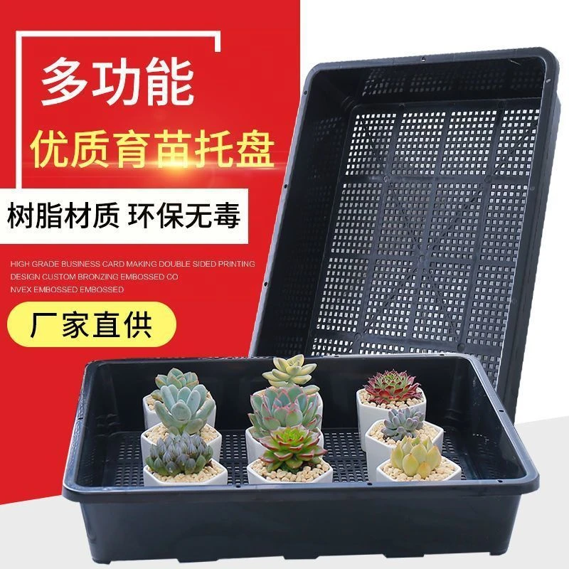 多肉育苗盘加厚育苗筐育苗盒育苗盆黑色扦插盘筐花盆大号透气塑料