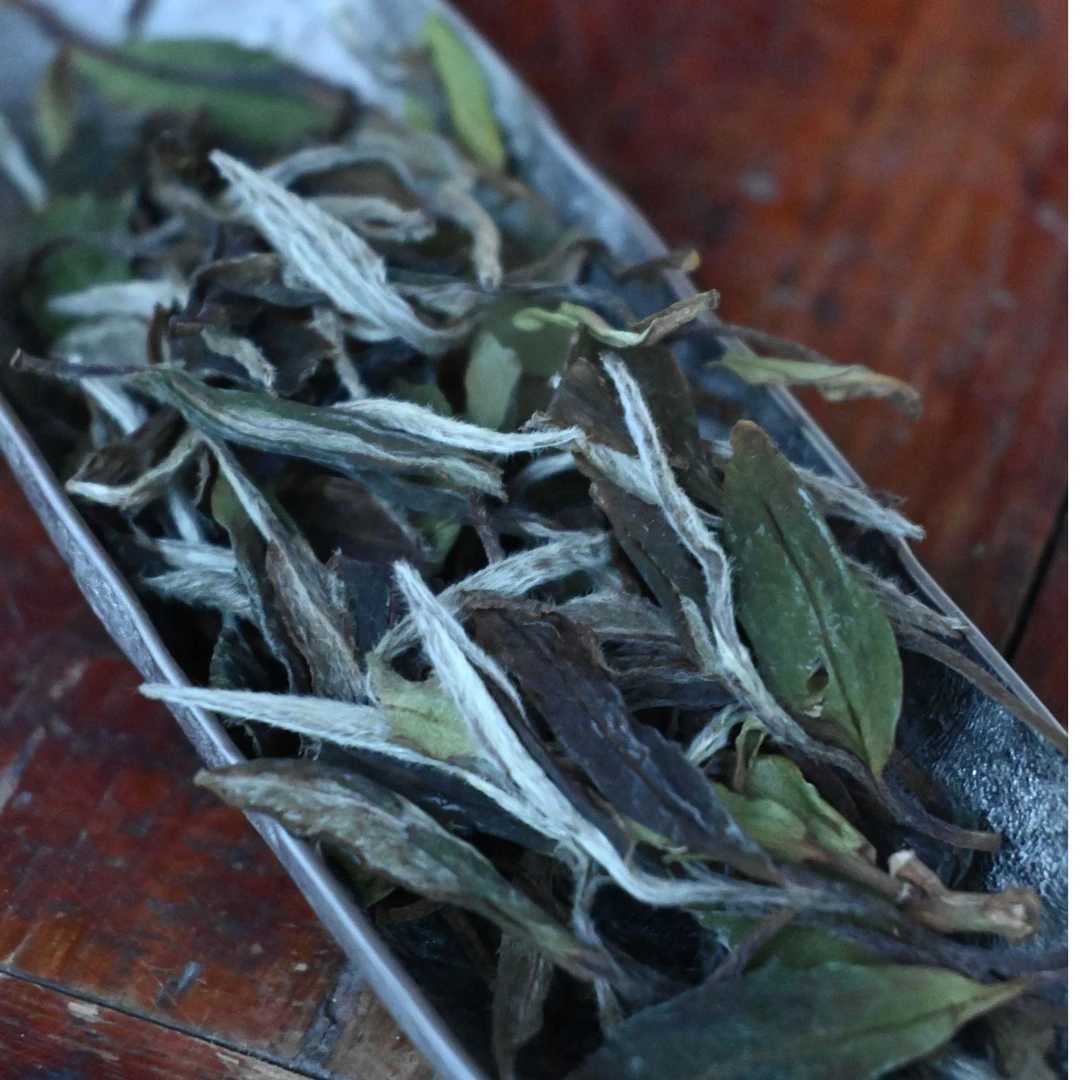 福鼎白茶2018年蜜香一级白牡丹 清甜鲜爽香气通透