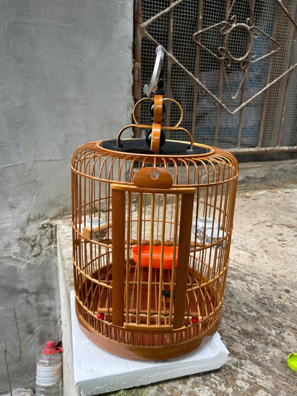 专用凯里带青黄豆鸟笼小鸟笼雕颠壳玉鸟石燕虎头凤黄豆鸟竹鸟笼子