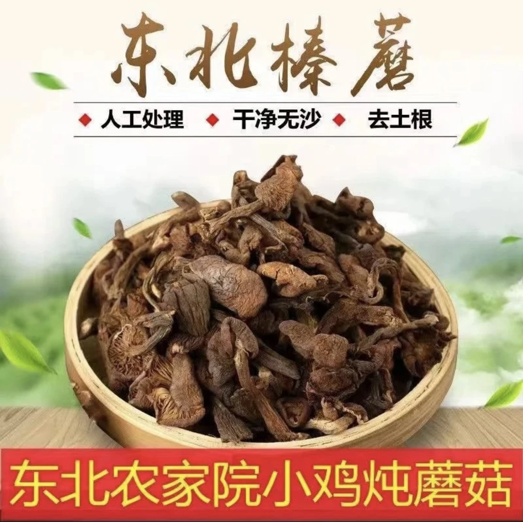 2024年野生榛蘑晒干 东北特产蘑菇农家自然晾晒