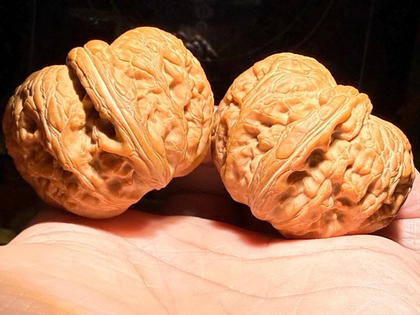 46全品超级平谷元宝