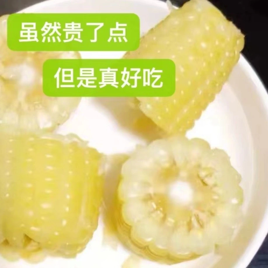 精品大棒甜糯玉米 （6支）鲜嫩软糯 糯玉米300克