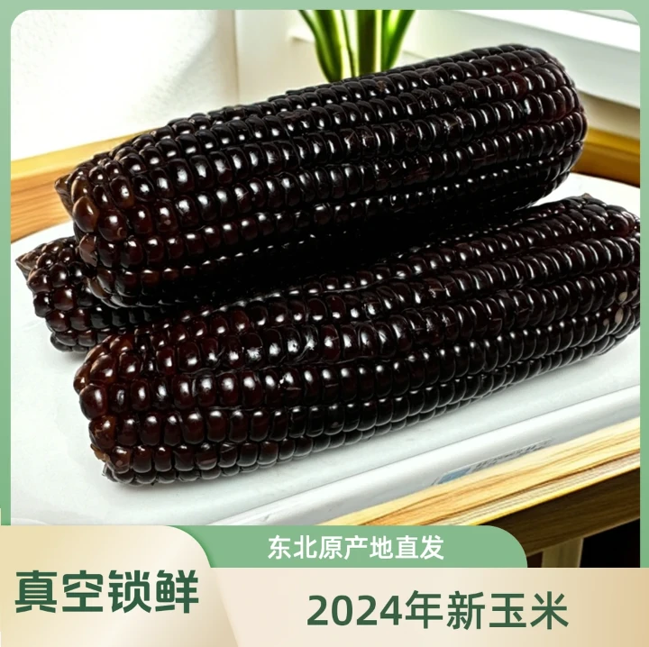 【试吃2棒】东北甜糯玉甜糯真空包装黑糯玉米整箱10棒5斤