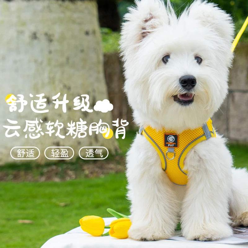 狗狗牵引绳背心式遛狗绳小型犬比熊泰迪博美小狗幼犬胸背带狗链子