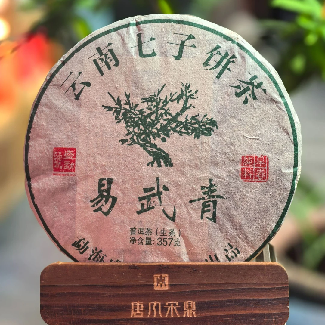 2021年易武青纯料 357克生茶