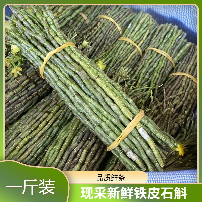 农户新鲜现采石斛鲜条500克新鲜铁皮石斛现采现发优势新鲜农产品