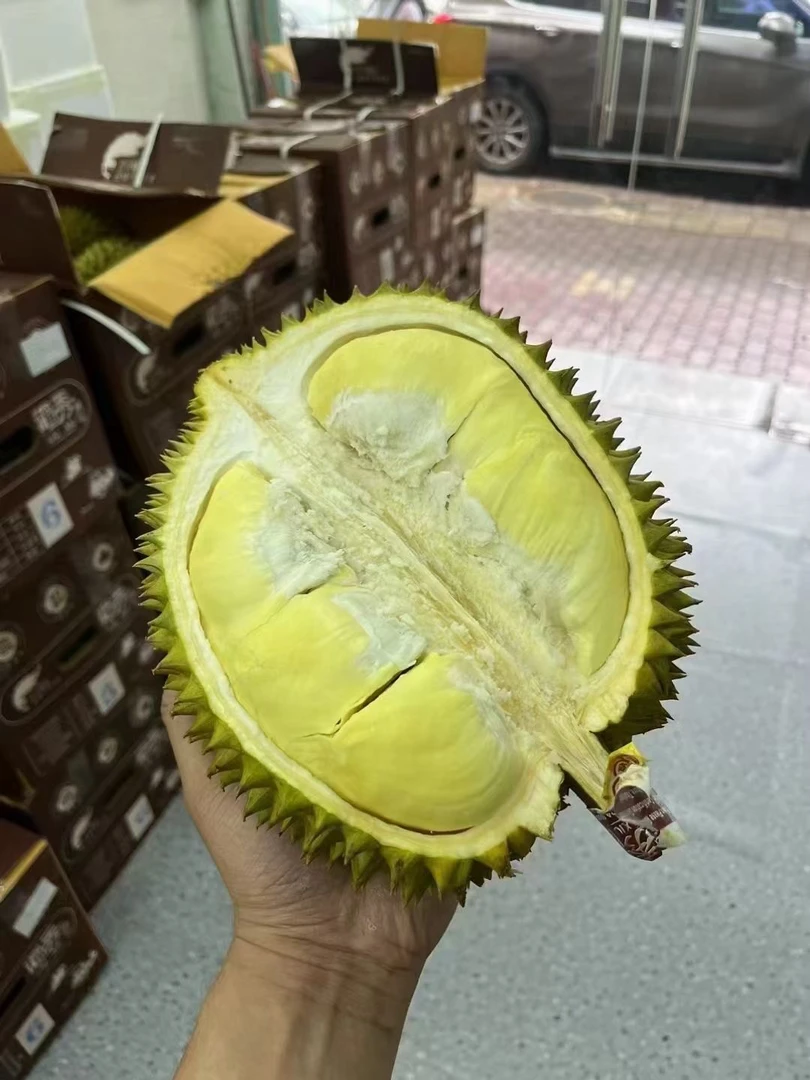 金枕榴莲