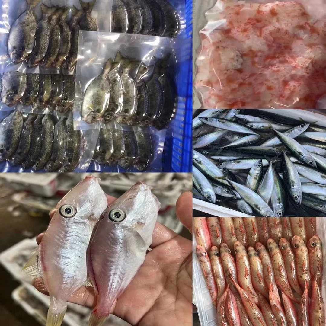 现场直播芦园本港海产品泥猛鱼带鱼杂鱼400g