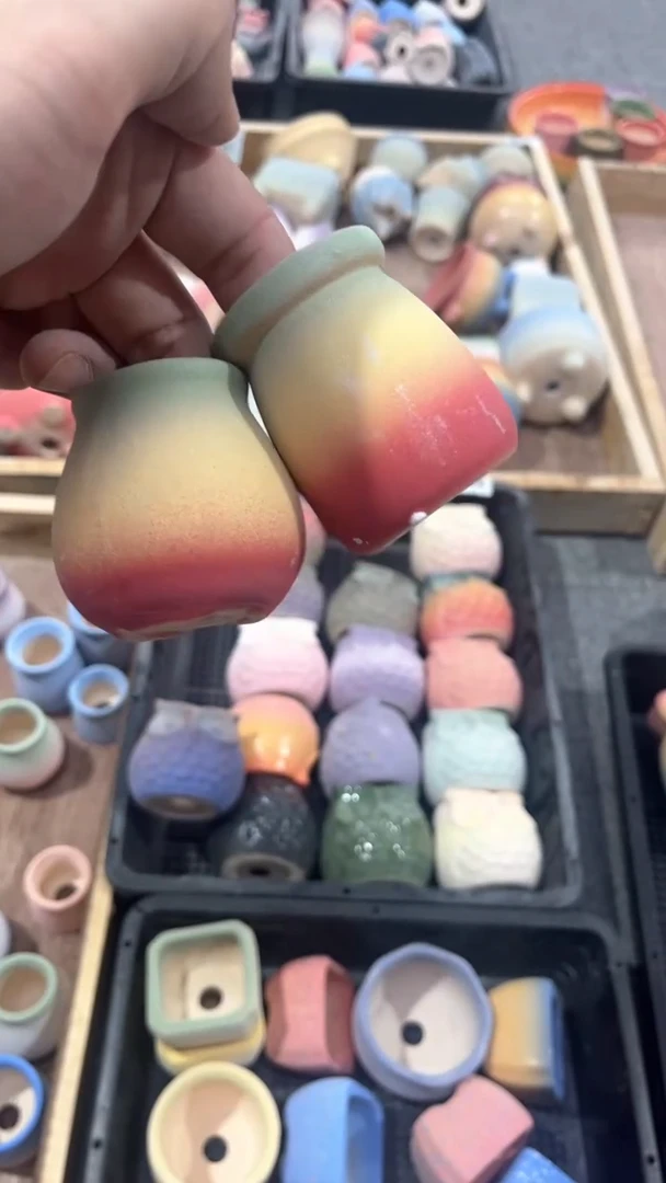 【闪购商品】陶20CM以下新品花盆福利