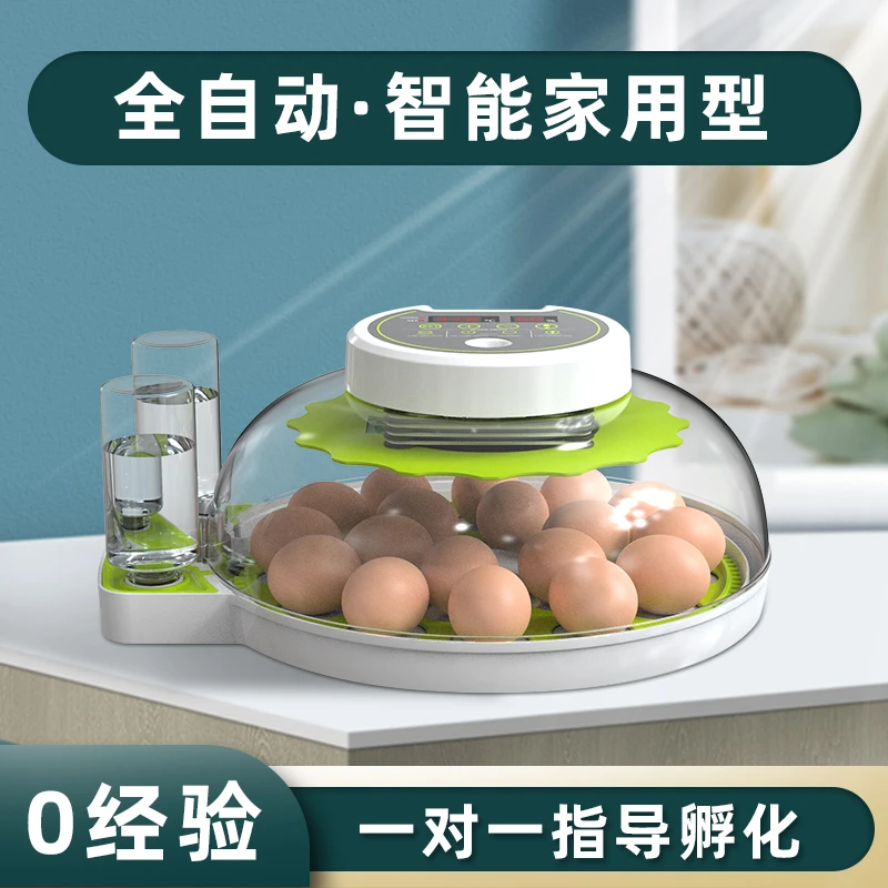 小型家用全自动智能孵化器小飞碟孵蛋器鹦鹉芦丁鸡鸟蛋恒温孵化箱