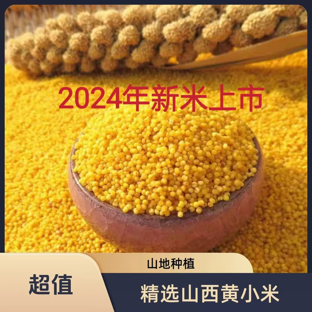 小米杂粮正宗山西黄小米新小米糯小米农家产地直销月子米