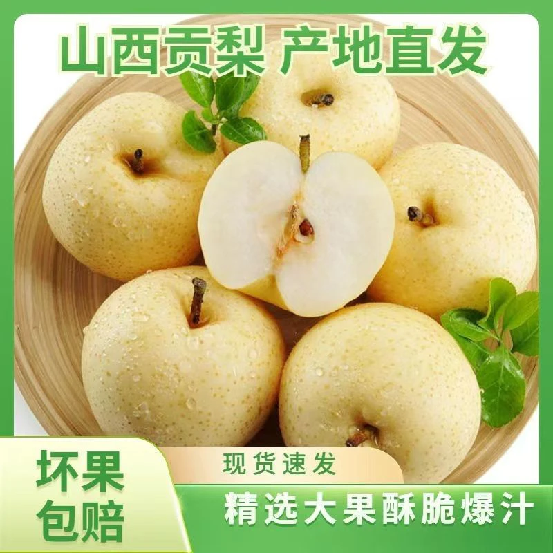 带箱4.5-5斤正宗山西酥梨原产地基地直发皮薄多汁贡梨脆爽甘甜ssz