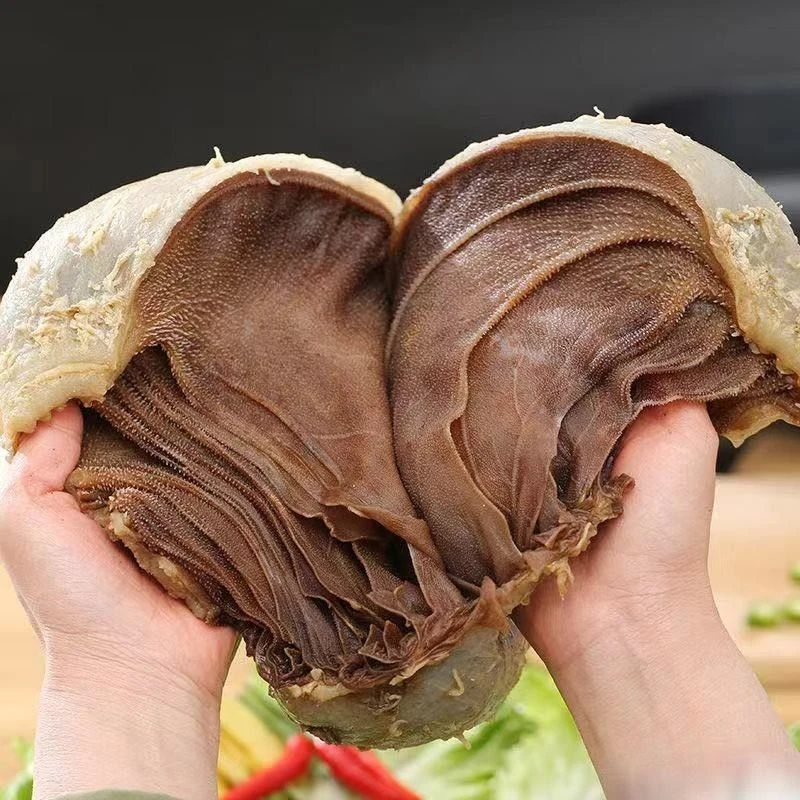 【净重3斤】一整个毛肚牛百叶爆炒毛肚整个毛肚 固形物含量95%