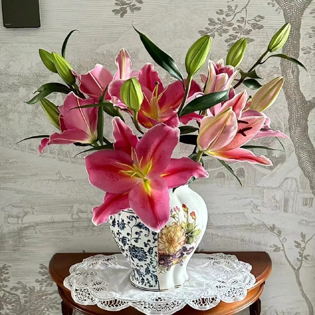 （糖果）红色香水百合东北基地直发顺丰包邮水生鲜切花漂亮养护好