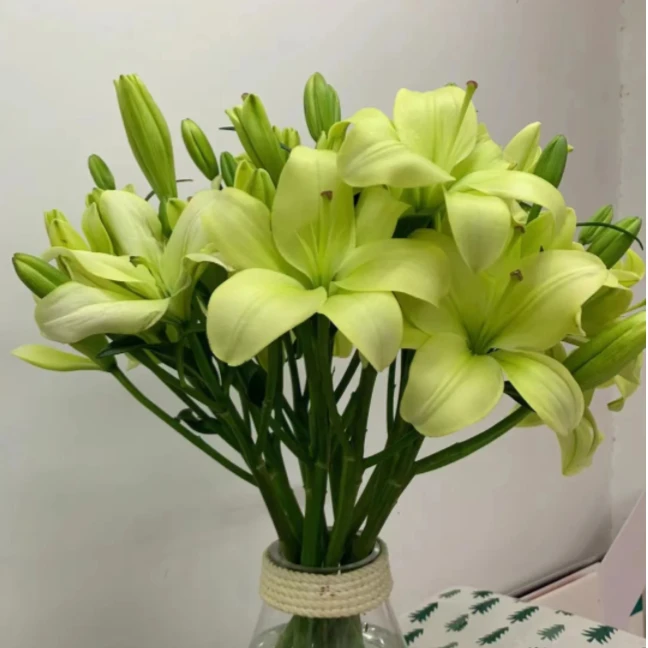 （绿色青春）亚洲百合水生鲜切花无香味东北顺丰直发居家养护处理好