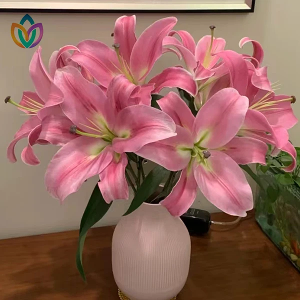 【七彩甄选】普拉芬多红色香水百合东北基地直发顺丰包邮水生鲜切花