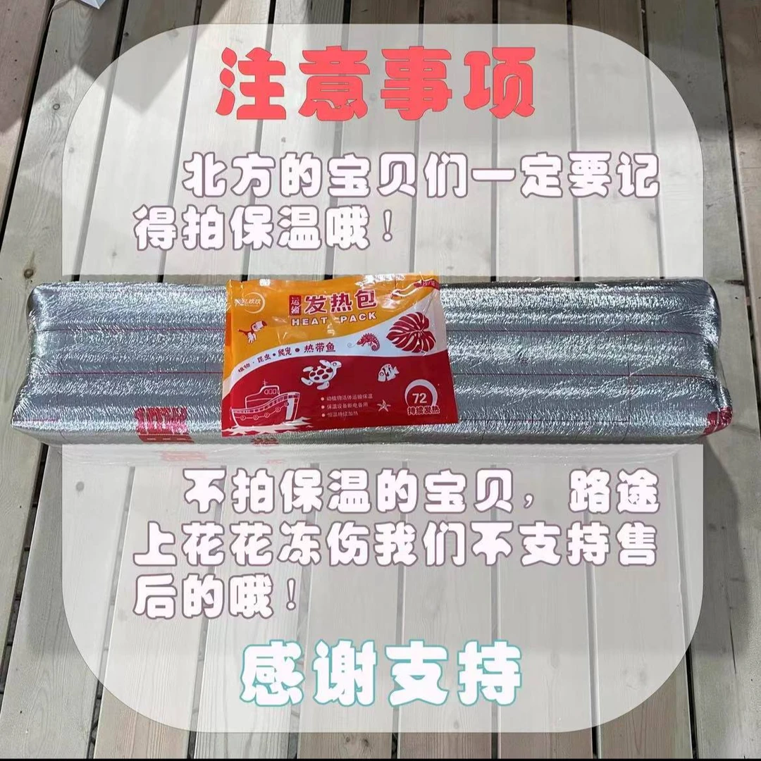 保温（暖宝宝）加热包，不拍保温冻坏不售后